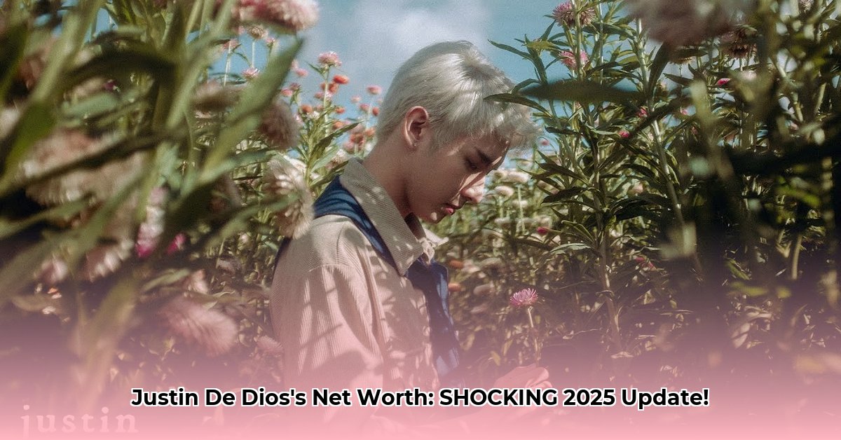 justin-de-dios-net-worth